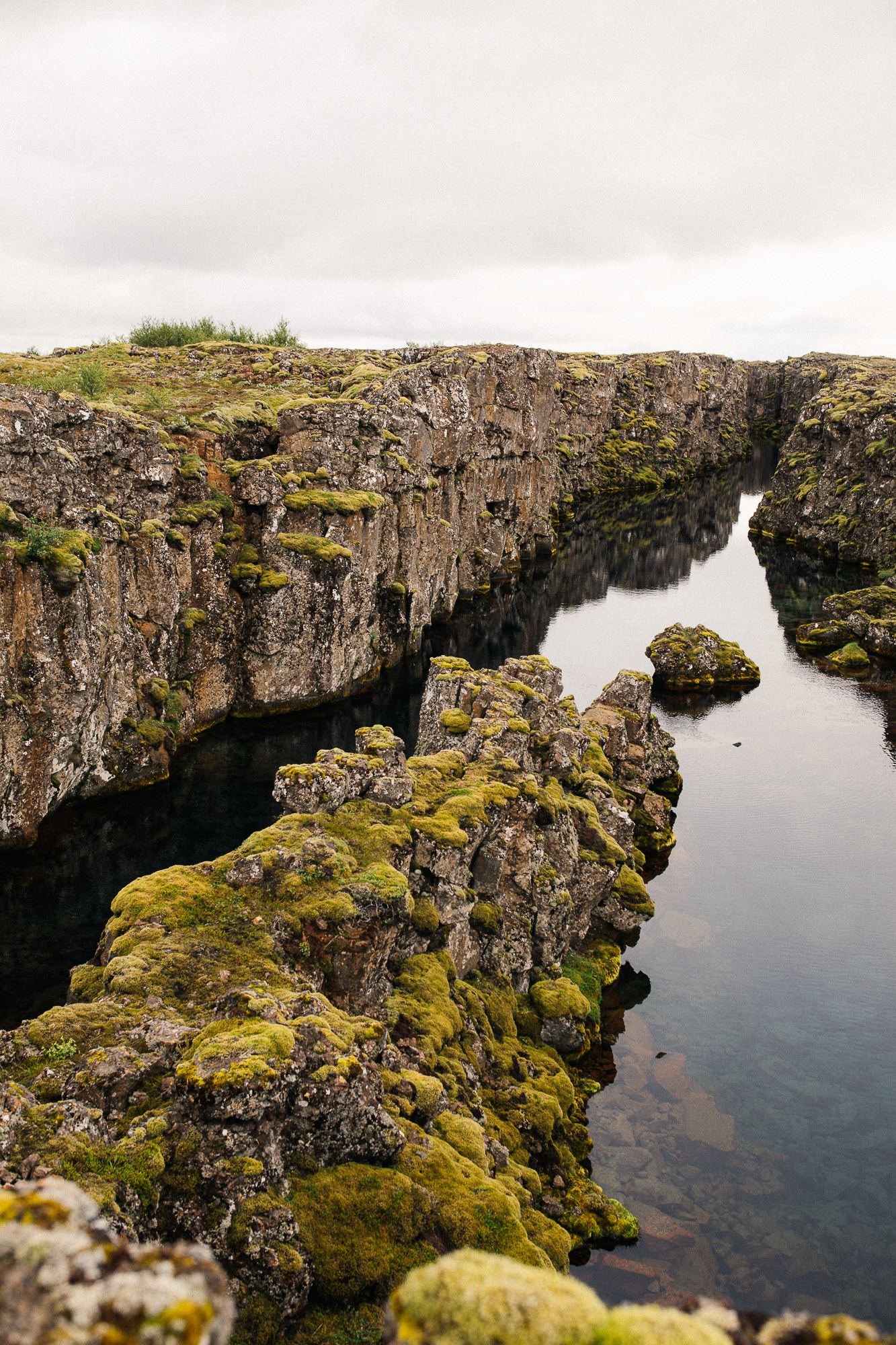 Export x3 5D4 5810 Anja & Damaris @thingvellier 5